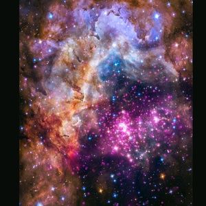 Meet your Posher, Dylan